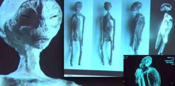 Investigadores independentes confirmam que a estranha múmia encontrada no deserto é de um extraterrestre. Será? Momias extraterrestres de Perú no son falsas asegura científico2. Vídeo | Bizarro | alien, aliens, Arqueologia, cruaturas, jaime maussan, polêmica, ufologia, ufos
