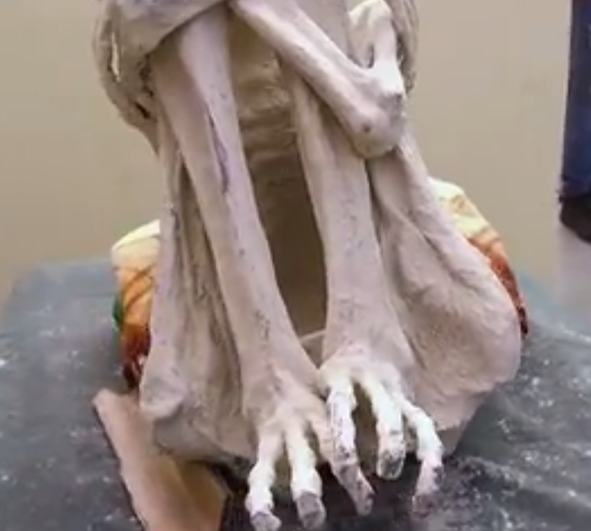 Investigadores independentes confirmam que a estranha múmia encontrada no deserto é de um extraterrestre. Será? Nazca mummy feet | Bizarro | alien, aliens, Arqueologia, cruaturas, jaime maussan, polêmica, ufologia, ufos