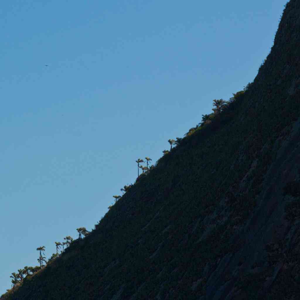 Uma tarde na praia diagonal | Textos | artes, câmera, canon, fotografia, instagram, lente