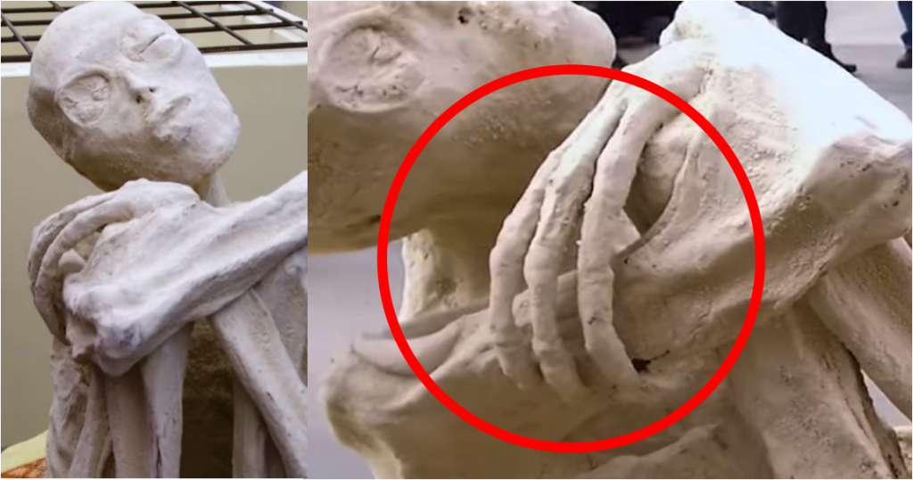 Investigadores independentes confirmam que a estranha múmia encontrada no deserto é de um extraterrestre. Será? m3 | Bizarro | alien, aliens, Arqueologia, cruaturas, jaime maussan, polêmica, ufologia, ufos