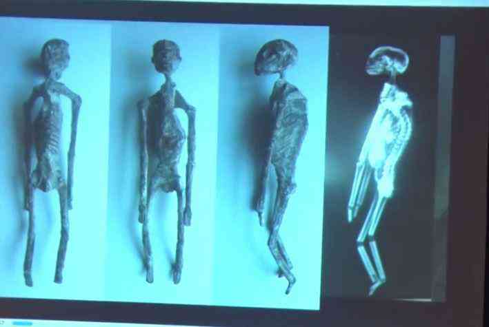 Investigadores independentes confirmam que a estranha múmia encontrada no deserto é de um extraterrestre. Será? mummy aliens 1 | Bizarro | alien, aliens, Arqueologia, cruaturas, jaime maussan, polêmica, ufologia, ufos