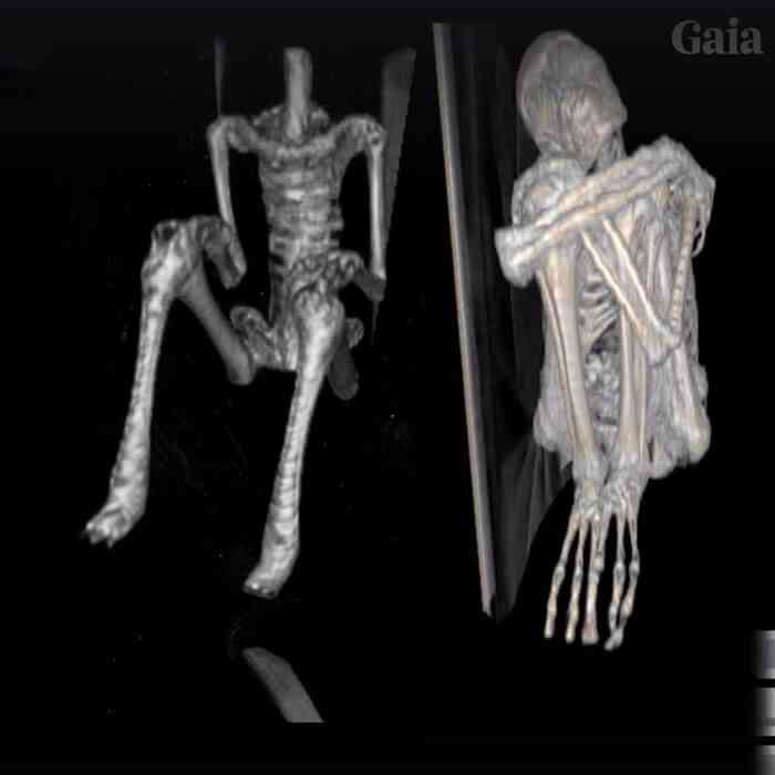 Investigadores independentes confirmam que a estranha múmia encontrada no deserto é de um extraterrestre. Será? múmias nazca | Bizarro | alien, aliens, Arqueologia, cruaturas, jaime maussan, polêmica, ufologia, ufos