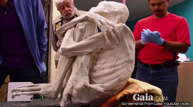 Investigadores independentes confirmam que a estranha múmia encontrada no deserto é de um extraterrestre. Será? new maria | Bizarro | alien, aliens, Arqueologia, cruaturas, jaime maussan, polêmica, ufologia, ufos