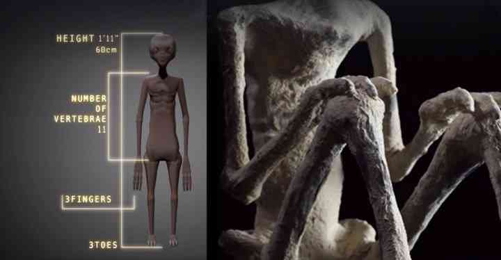 Investigadores independentes confirmam que a estranha múmia encontrada no deserto é de um extraterrestre. Será? strange mummy nazca peru | Bizarro | alien, aliens, Arqueologia, cruaturas, jaime maussan, polêmica, ufologia, ufos