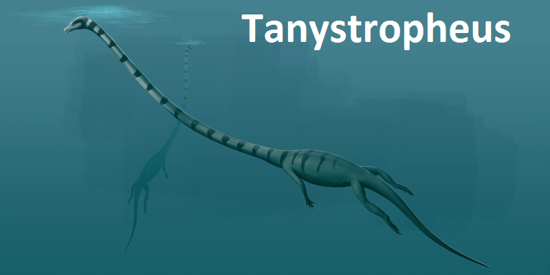 Monstro do lago Ogopogo reapareceu no Canadá tanystropheus | Curiosidades | animais, bizarro, criptozoologia, incrível, monstros, Monstros marinhos
