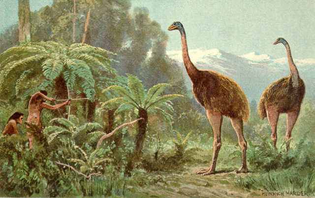 Indio Gigante, o frango gigantesco 333787arbol2 | Animais | animais, bichos, bizarro, curioso, frango, galinha, incrível