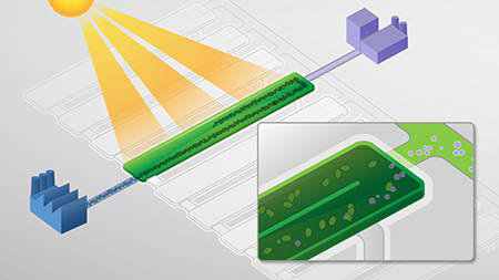 Energia solar líquida: A tecnologia que poderá mudar o mundo 486577helioculture process step05 resized | Ciência | algas, ciência, combustíveis, curioso, Tecnologia